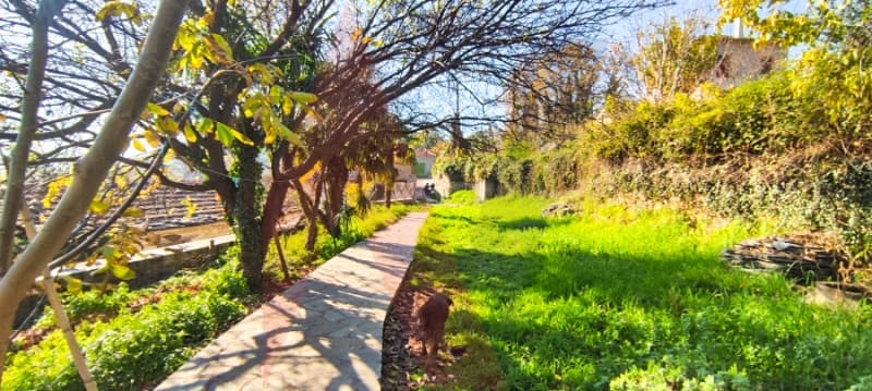 Μονοκατοικία στην Άνω Λεχώνια, Αγριά — Φωτογραφία 15 από 18