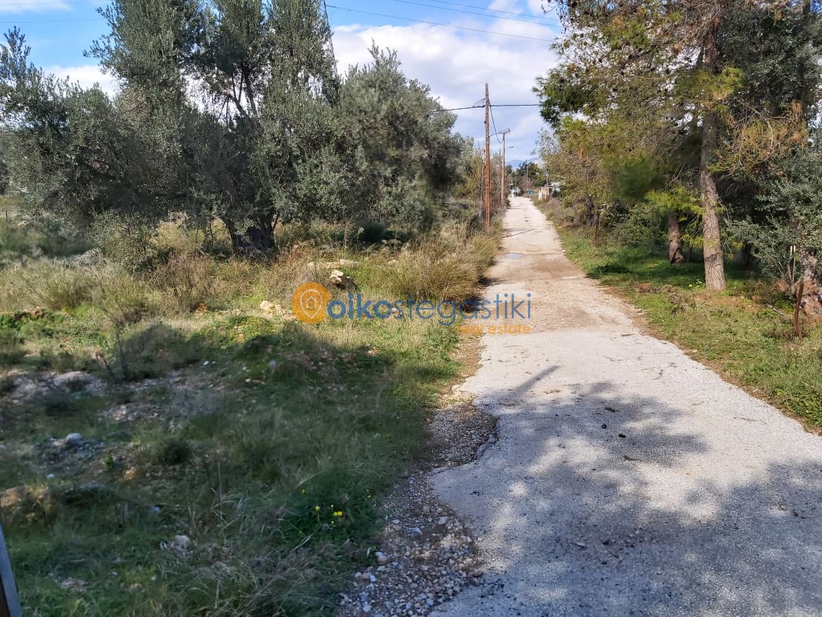 Οικόπεδο στην Κέντρο, Γλυκά Νερά — Φωτογραφία 3 από 4