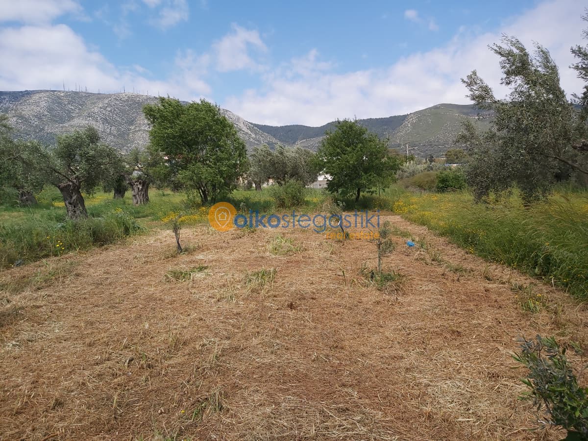 Οικόπεδο στην Αγία Μαρίνα, Παιανία — Φωτογραφία 1 από 3