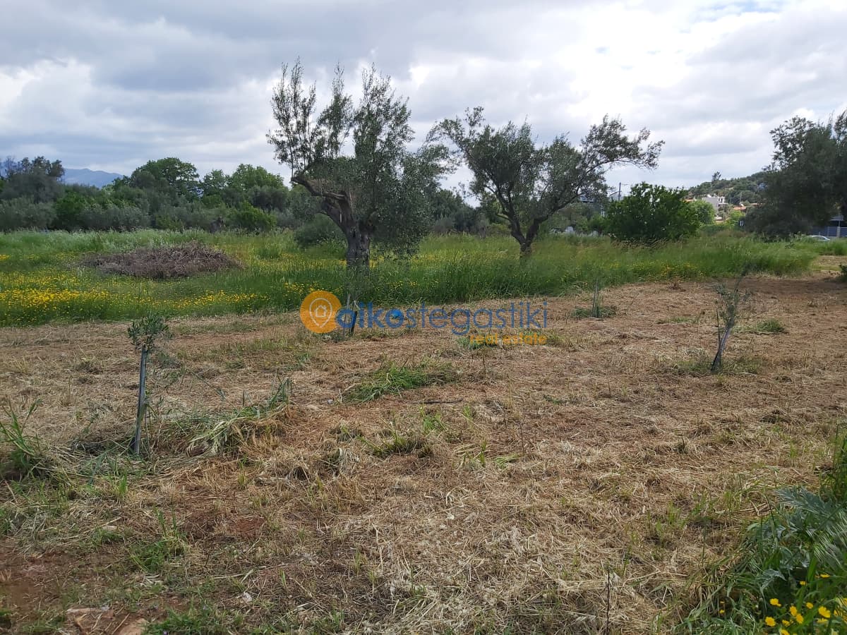 Οικόπεδο στην Αγία Μαρίνα, Παιανία — Φωτογραφία 3 από 3