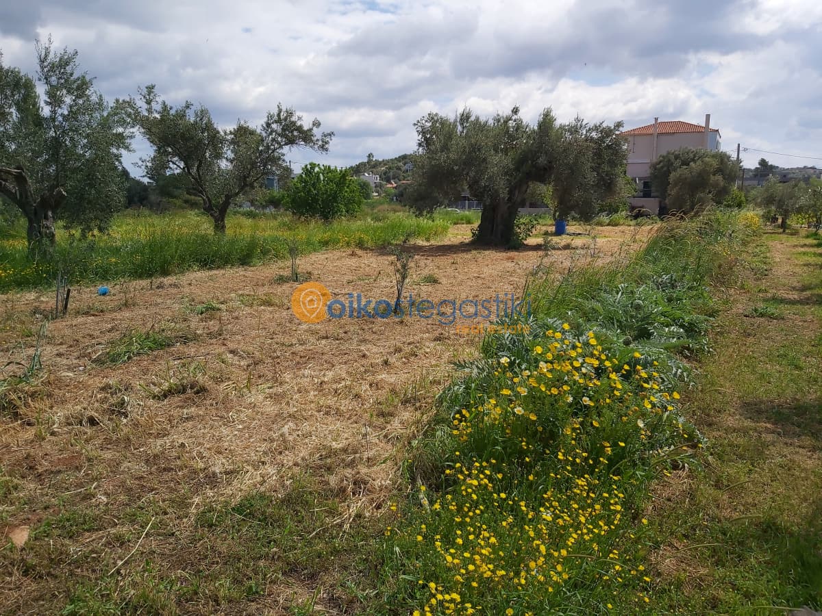 Οικόπεδο στην Αγία Μαρίνα, Παιανία — Φωτογραφία 2 από 3