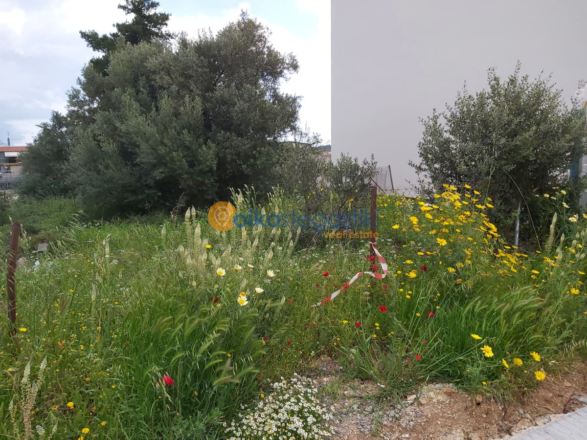 Οικόπεδο στην Άνω Μπαλάνα, Παλλήνη