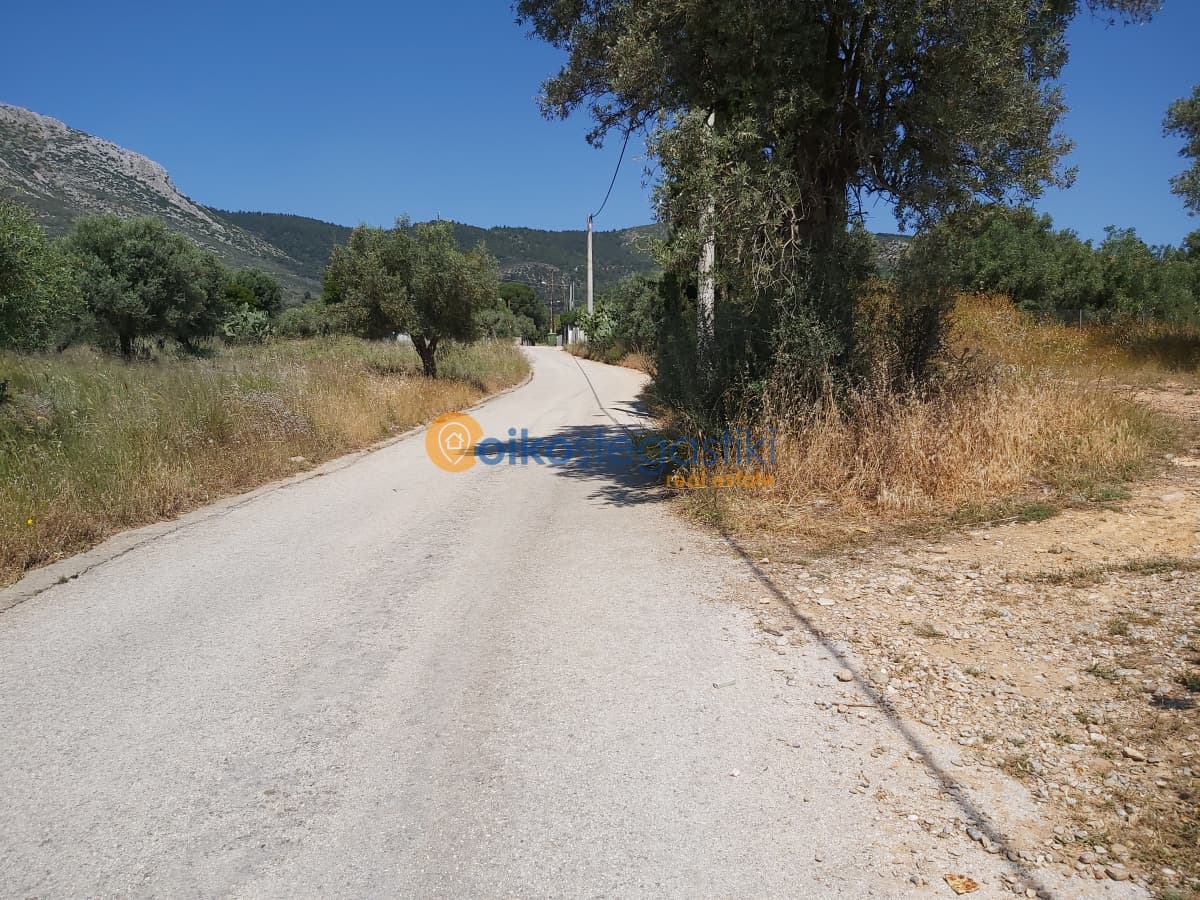 Οικόπεδο στην Αγία Τριάδα, Παιανία — Φωτογραφία 2 από 4