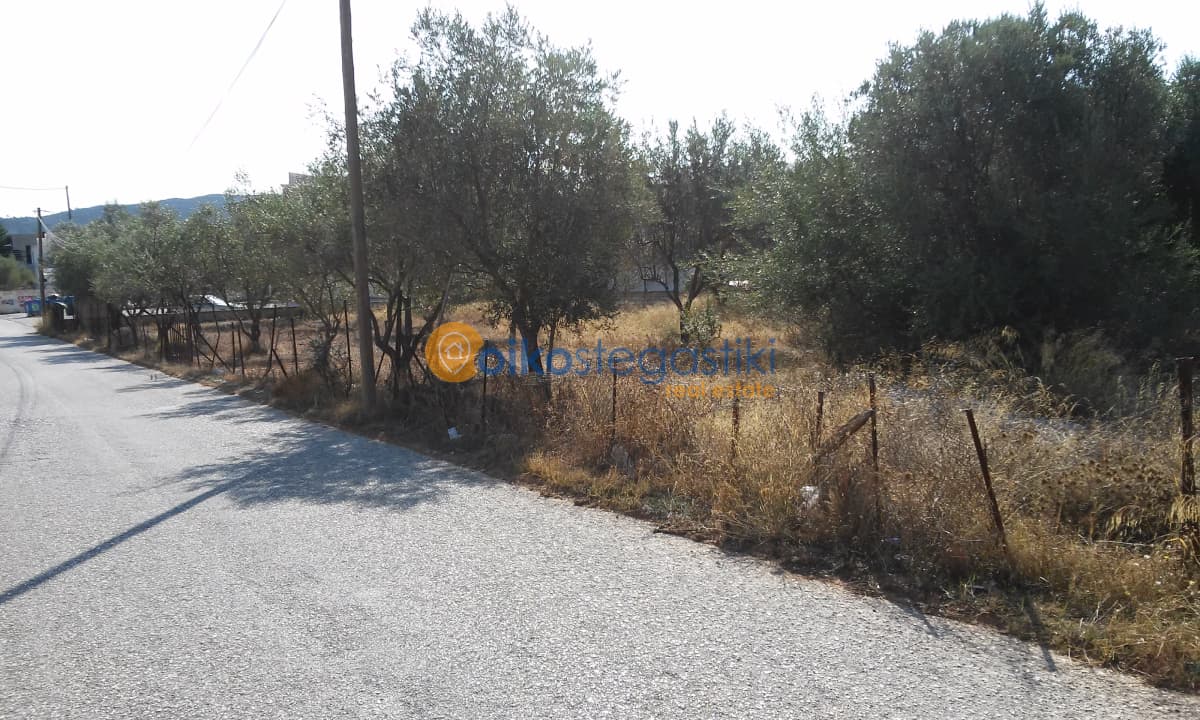 Building Plot in Agia Triada, Paiania — Photo 2 of 4