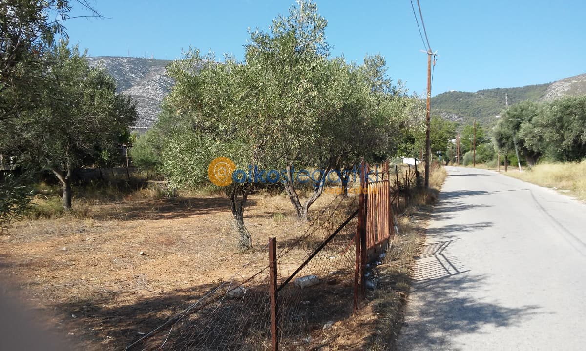 Building Plot in Agia Triada, Paiania — Photo 1 of 4