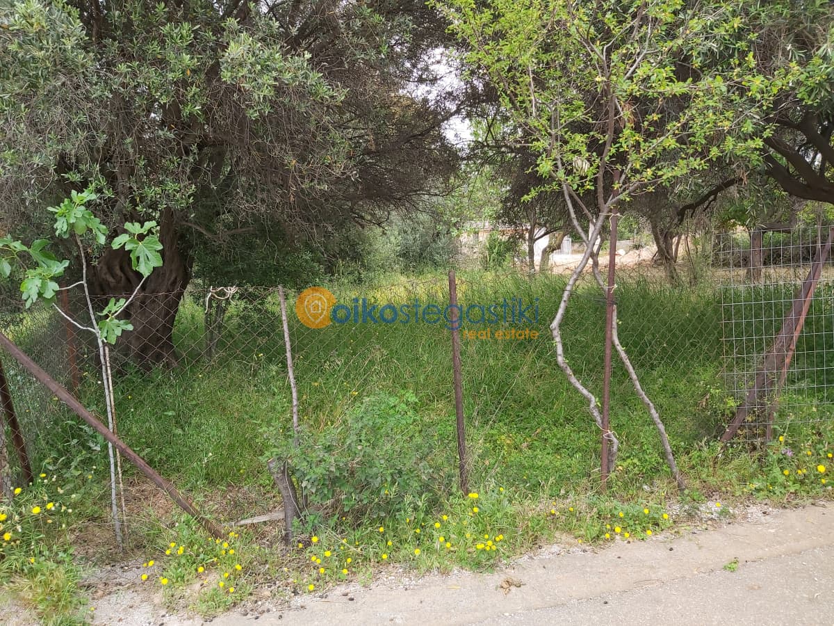 Building Plot in Agia Triada, Paiania — Photo 2 of 3