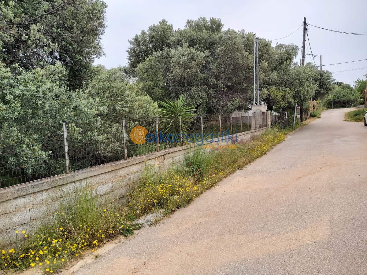 Building Plot in Agia Triada, Paiania — Photo 1 of 3