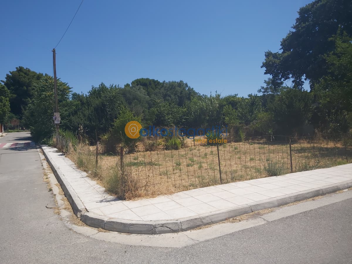 Οικόπεδο στην Άνω Μπαλάνα, Παλλήνη — Φωτογραφία 1 από 3