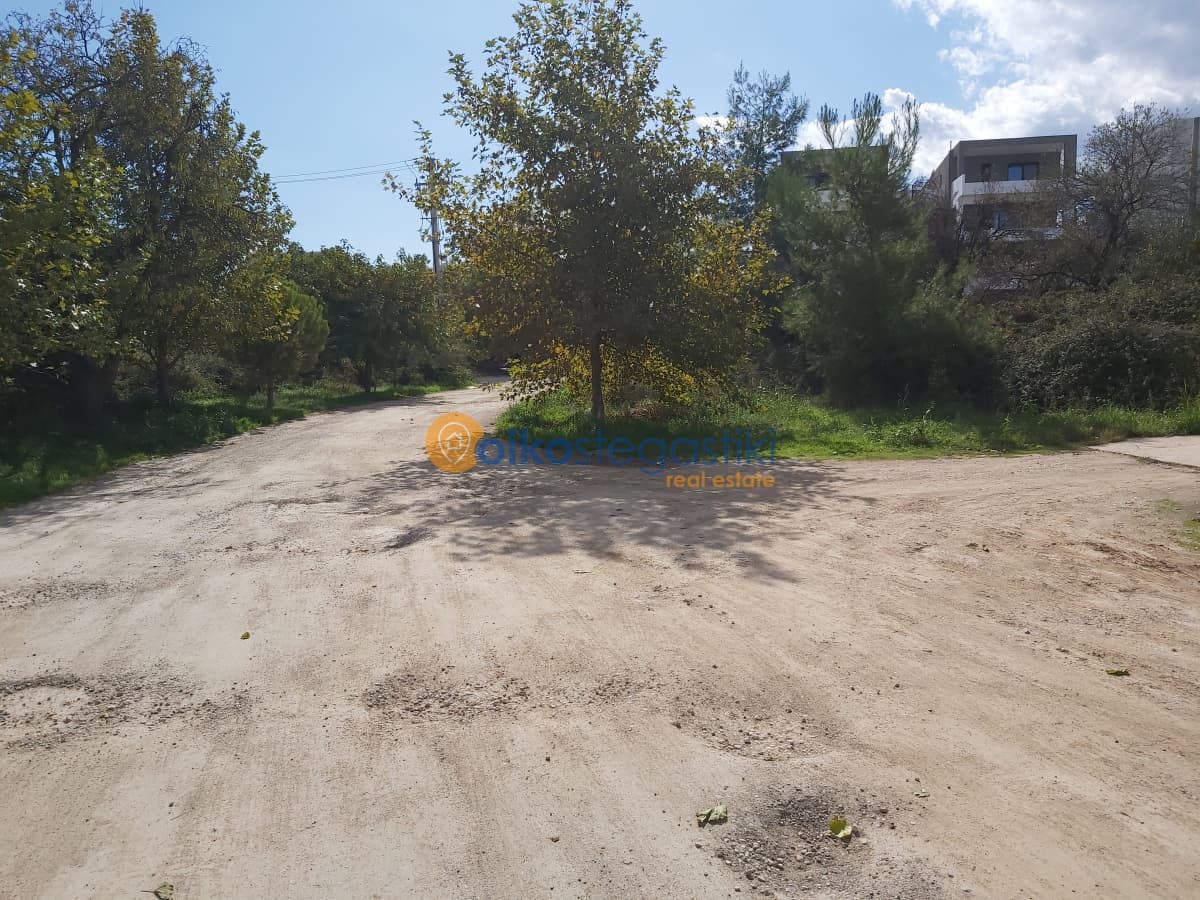 Οικόπεδο στην Μπάλανα, Γέρακας — Φωτογραφία 4 από 4