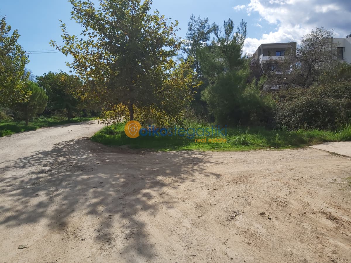 Οικόπεδο στην Μπάλανα, Γέρακας — Φωτογραφία 3 από 4