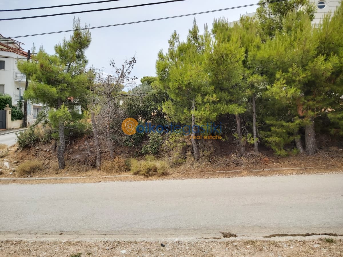 Οικόπεδο στην Δασαμάρι, Πικέρμι — Φωτογραφία 5 από 6