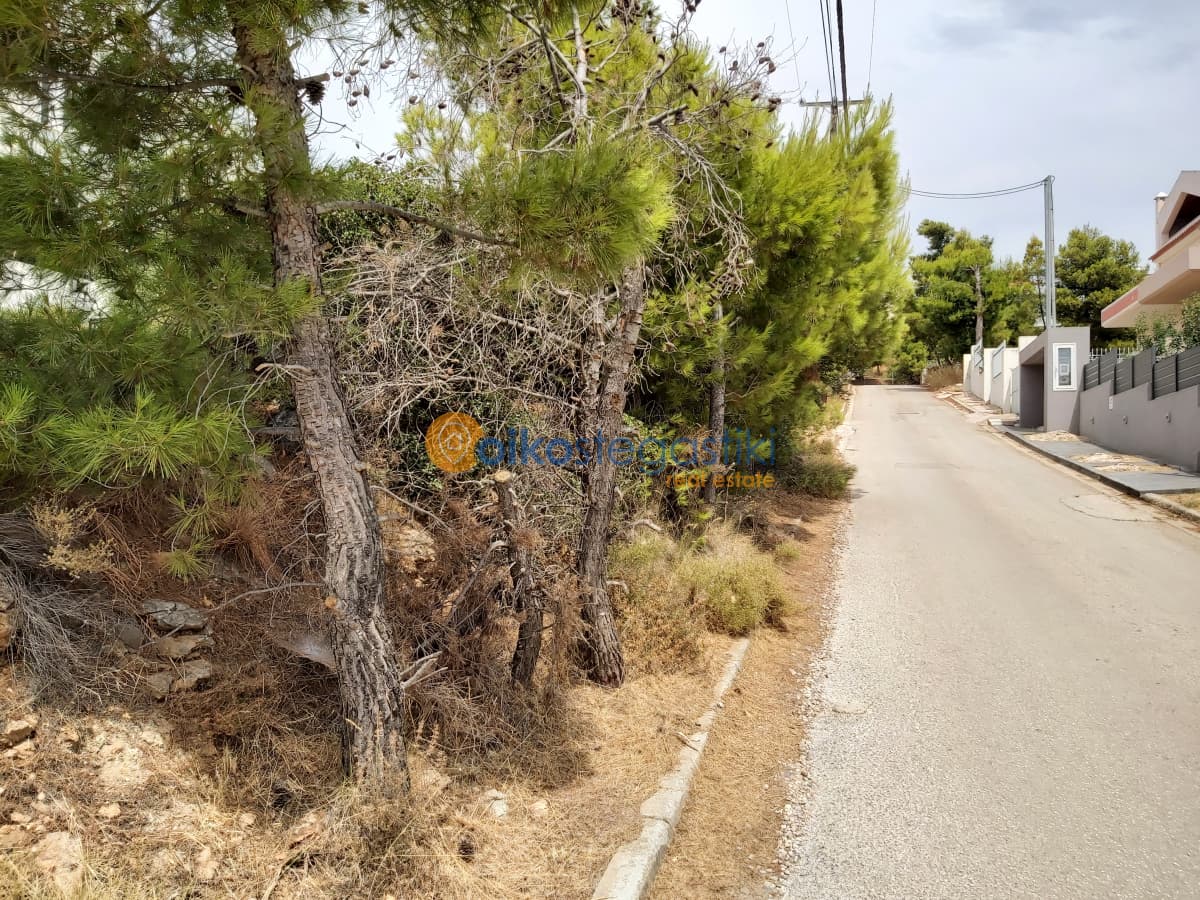 Οικόπεδο στην Δασαμάρι, Πικέρμι — Φωτογραφία 6 από 6