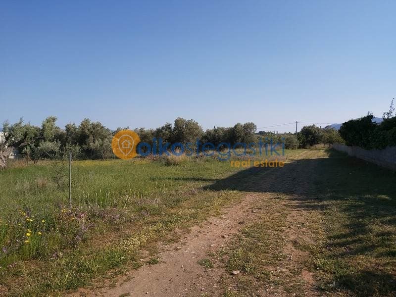 Οικόπεδο στην Αγία Τριάδα, Παιανία