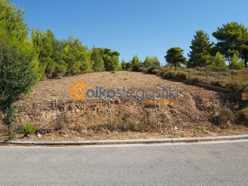 Οικόπεδο στην Διώνη, Πικέρμι — Φωτογραφία 2 από 3