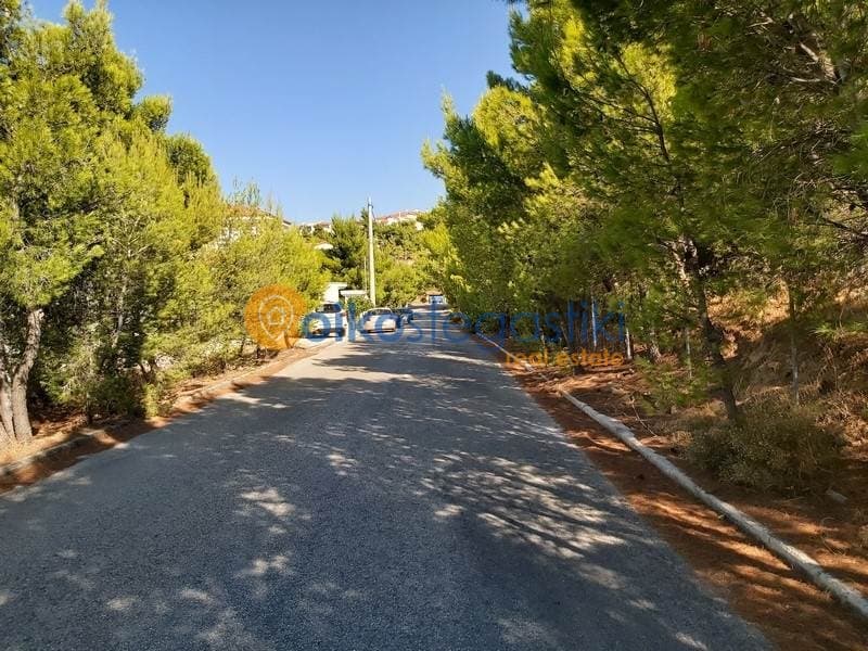 Οικόπεδο στην Διώνη, Πικέρμι — Φωτογραφία 3 από 3