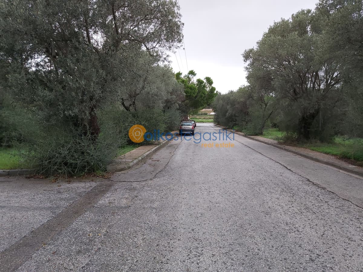 Οικόπεδο στην Νεάπολη, Σπάτα — Φωτογραφία 2 από 2