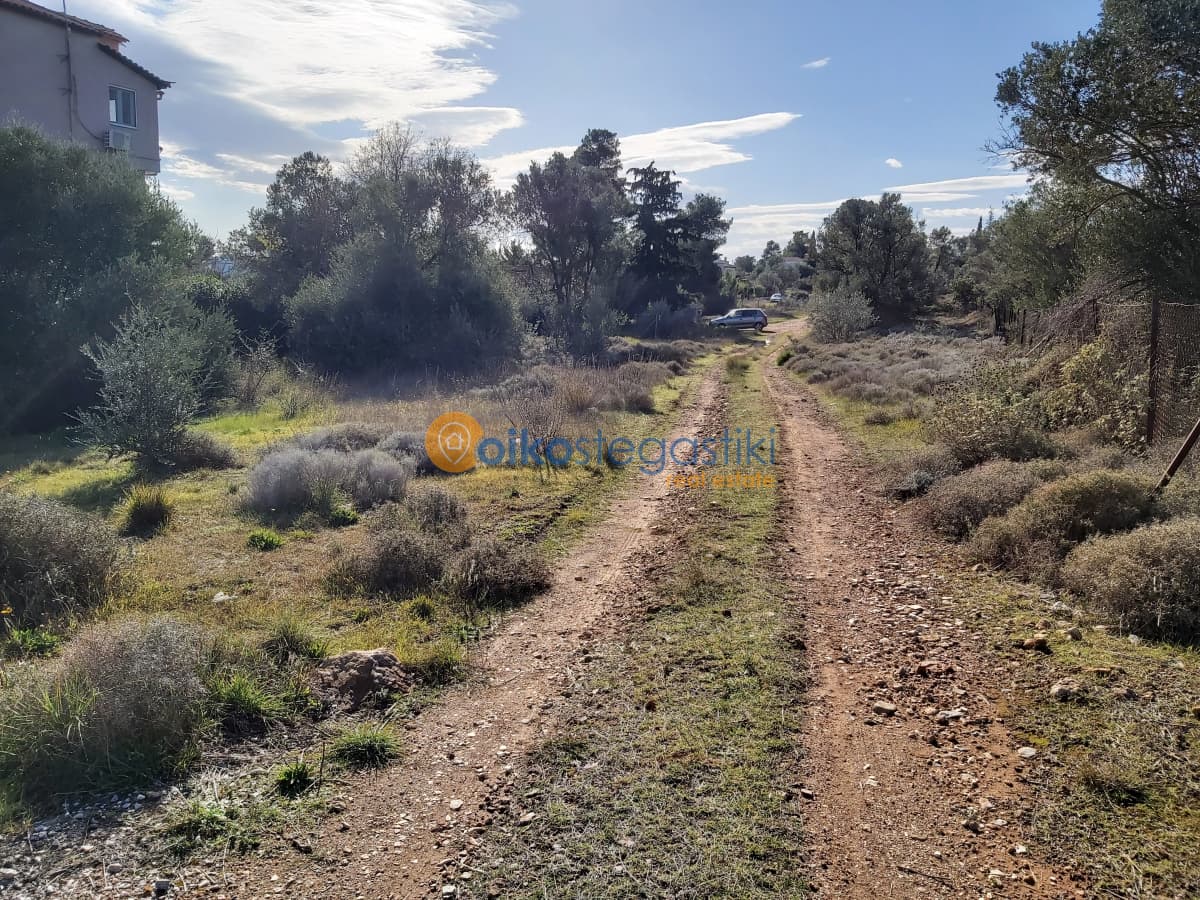 Οικόπεδο στην Αγία Τριάδα, Παιανία — Φωτογραφία 4 από 4