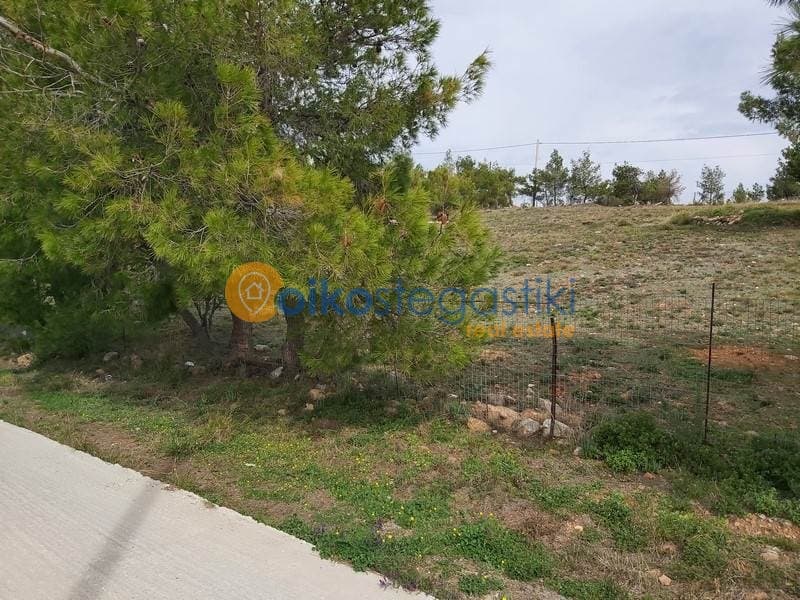 Οικόπεδο στην Δασαμάρι, Πικέρμι — Φωτογραφία 4 από 5