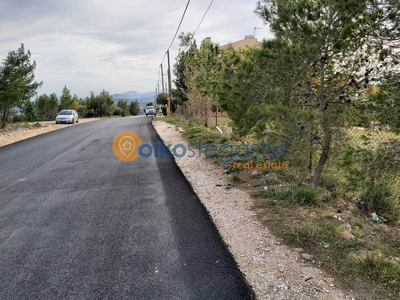 Οικόπεδο στην Δασαμάρι, Πικέρμι — Φωτογραφία 5 από 5