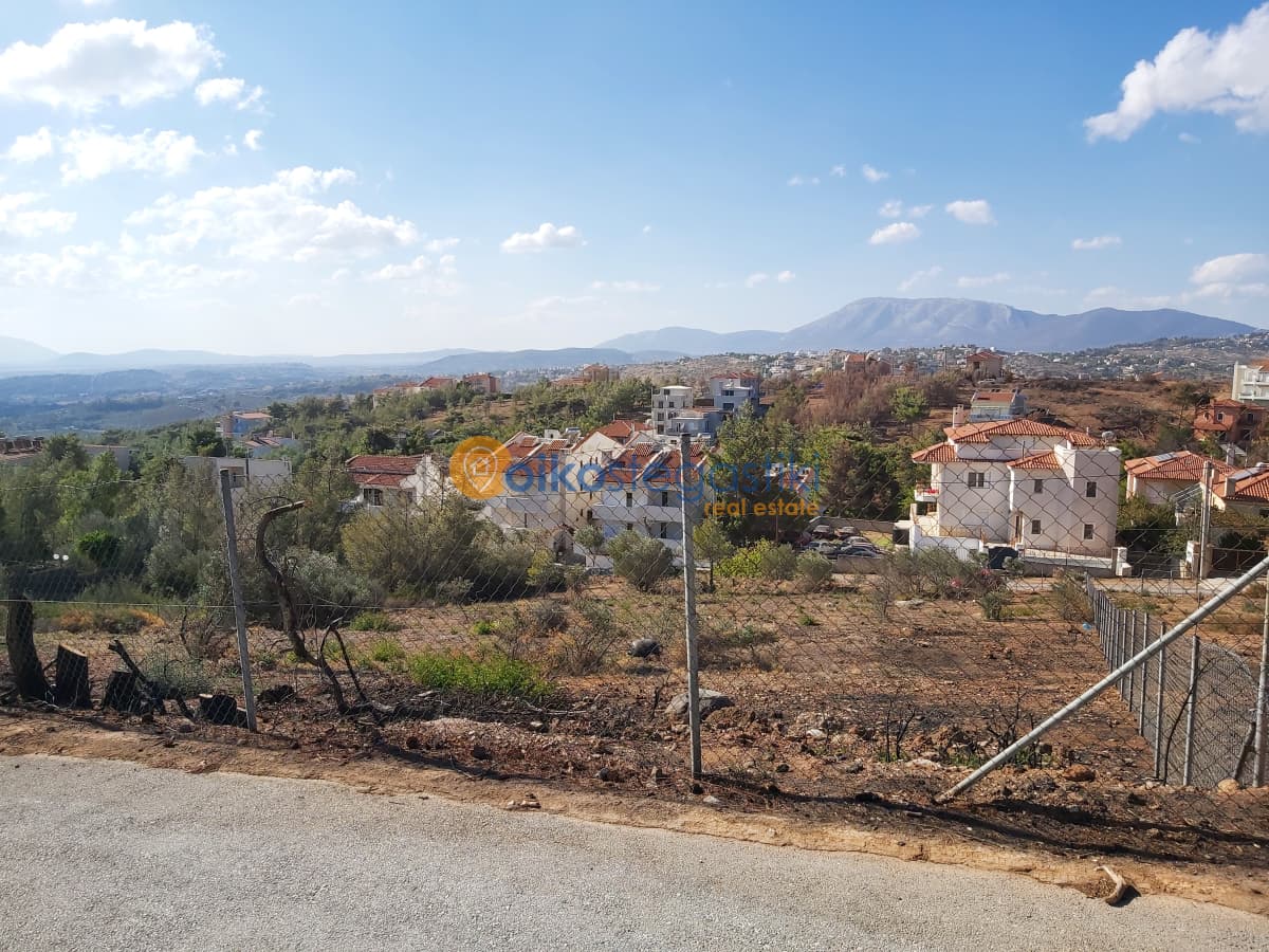 Οικόπεδο στην Δασαμάρι, Πικέρμι — Φωτογραφία 1 από 5