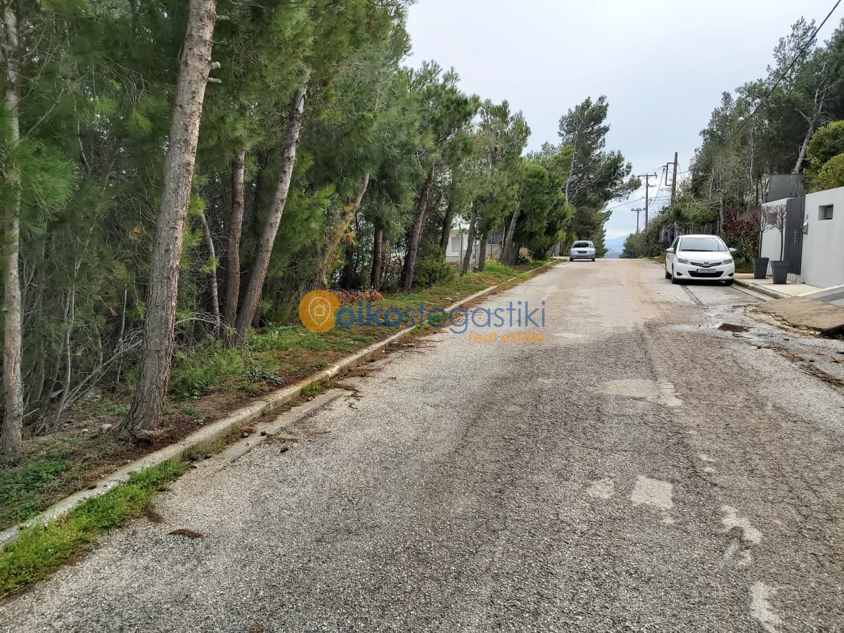 Οικόπεδο στην Δασαμάρι, Πικέρμι — Φωτογραφία 3 από 4