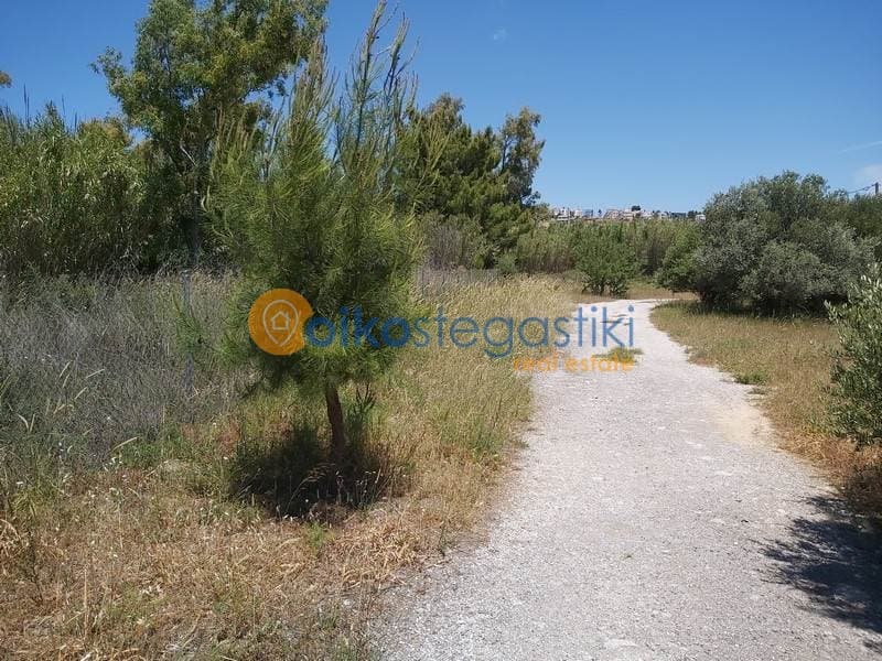 Οικόπεδο στην Κάτω Χαρβάτι, Παλλήνη — Φωτογραφία 2 από 2
