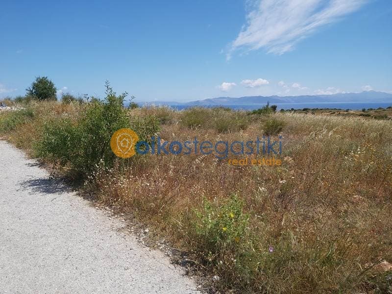 Parcel in Oikismos Kokkino Limanaki, Rafina — Photo 2 of 2
