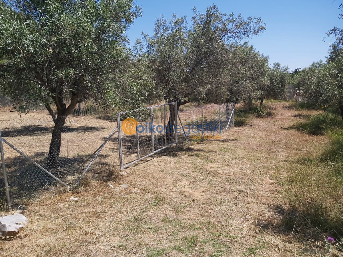 Οικόπεδο στην Φούρεσι, Γλυκά Νερά — Φωτογραφία 1 από 5