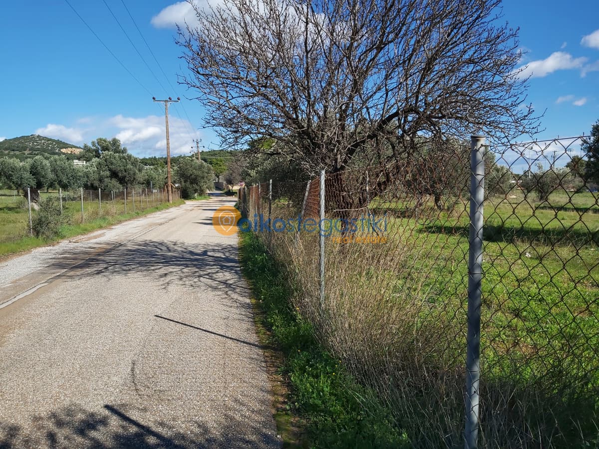 Αγροτεμάχιο στην Κέντρο, Κορωπί — Φωτογραφία 3 από 6