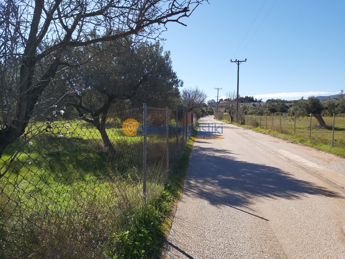 Αγροτεμάχιο στην Κέντρο, Κορωπί — Φωτογραφία 5 από 6