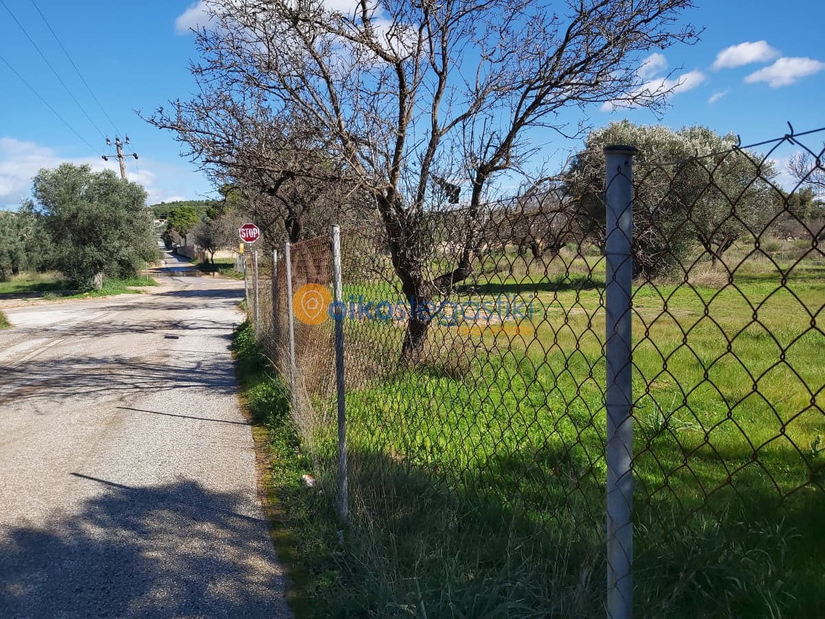 Αγροτεμάχιο στην Κέντρο, Κορωπί — Φωτογραφία 4 από 6