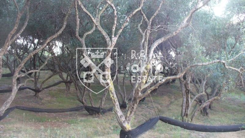 Building Plot in Αgios Georgios, Corfu — Photo 2 of 5