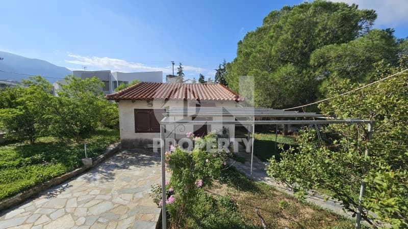 Μονοκατοικία στην Γαλάζια ακτή, Καλύβια Θορικού — Φωτογραφία 26 από 29