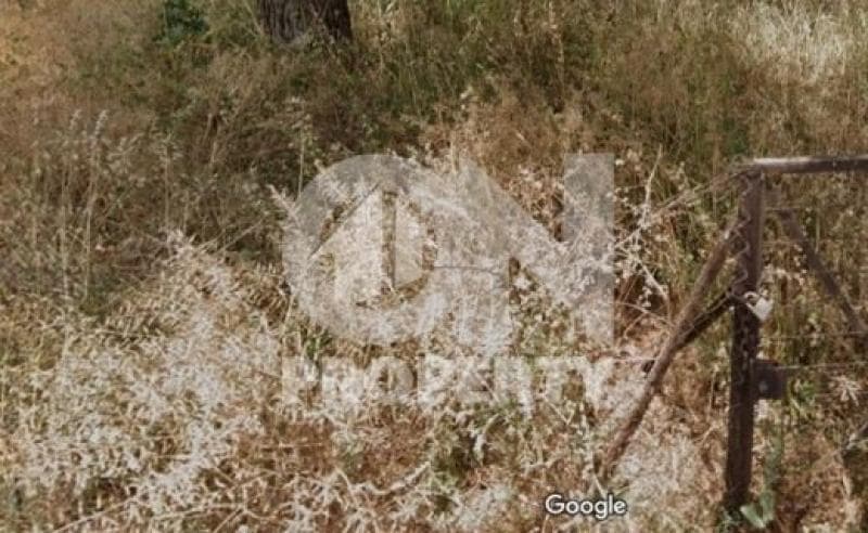 Οικόπεδο στην Φούρεσι, Γλυκά Νερά — Φωτογραφία 2 από 3