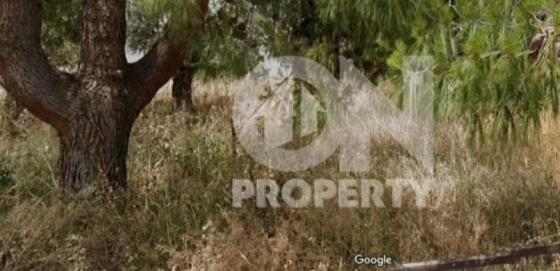 Οικόπεδο στην Φούρεσι, Γλυκά Νερά — Φωτογραφία 1 από 3