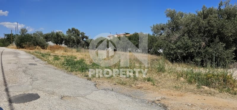 Building Plot in Agia Triada, Paiania — Photo 3 of 10