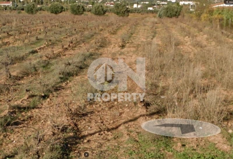 Αγροτεμάχιο στην Κάτω Χαρβάτι, Παλλήνη — Φωτογραφία 9 από 9