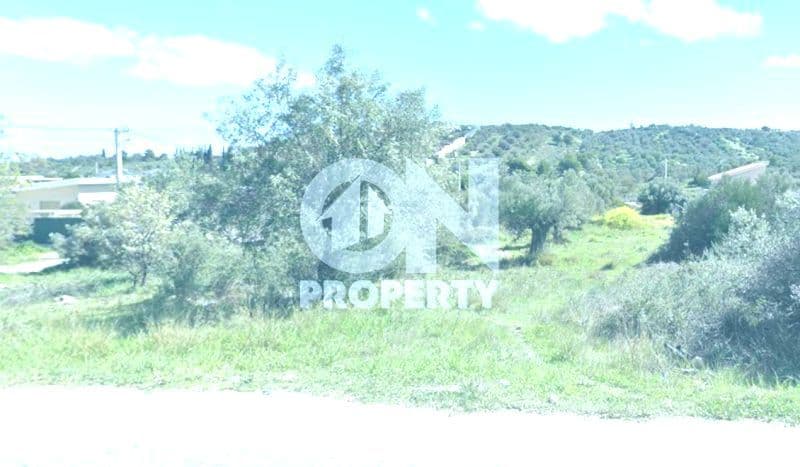 Building Plot in Agia Marina, Paiania — Photo 1 of 8