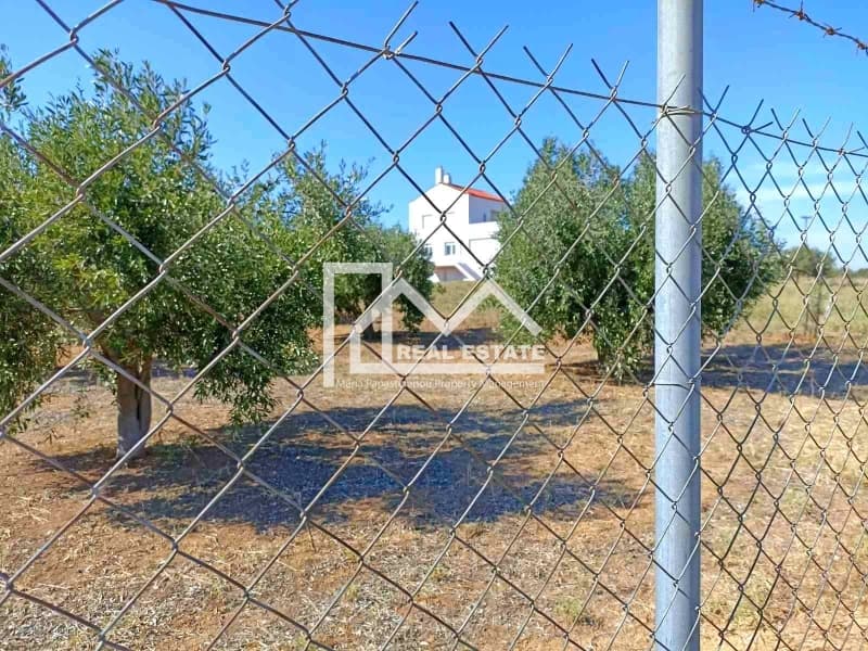 Μονοκατοικία στην Νέα Καλλικράτεια, Καλλικράτεια — Φωτογραφία 7 από 20