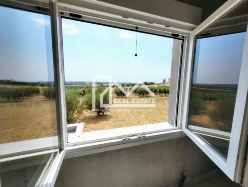 Μονοκατοικία στην Νέα Καλλικράτεια, Καλλικράτεια — Φωτογραφία 5 από 20
