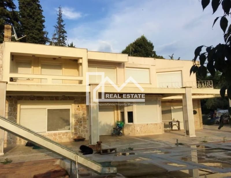 Μονοκατοικία στην Κέντρο, Πεύκα — Φωτογραφία 4 από 9
