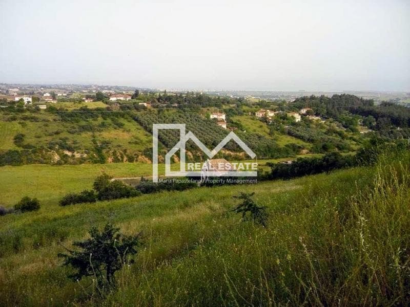 House in Neo Risio, Mikra — Photo 19 of 30