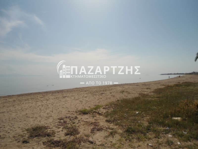Μονοκατοικία στην Παραλία Διονυσίου, Μουδανιά — Φωτογραφία 2 από 25