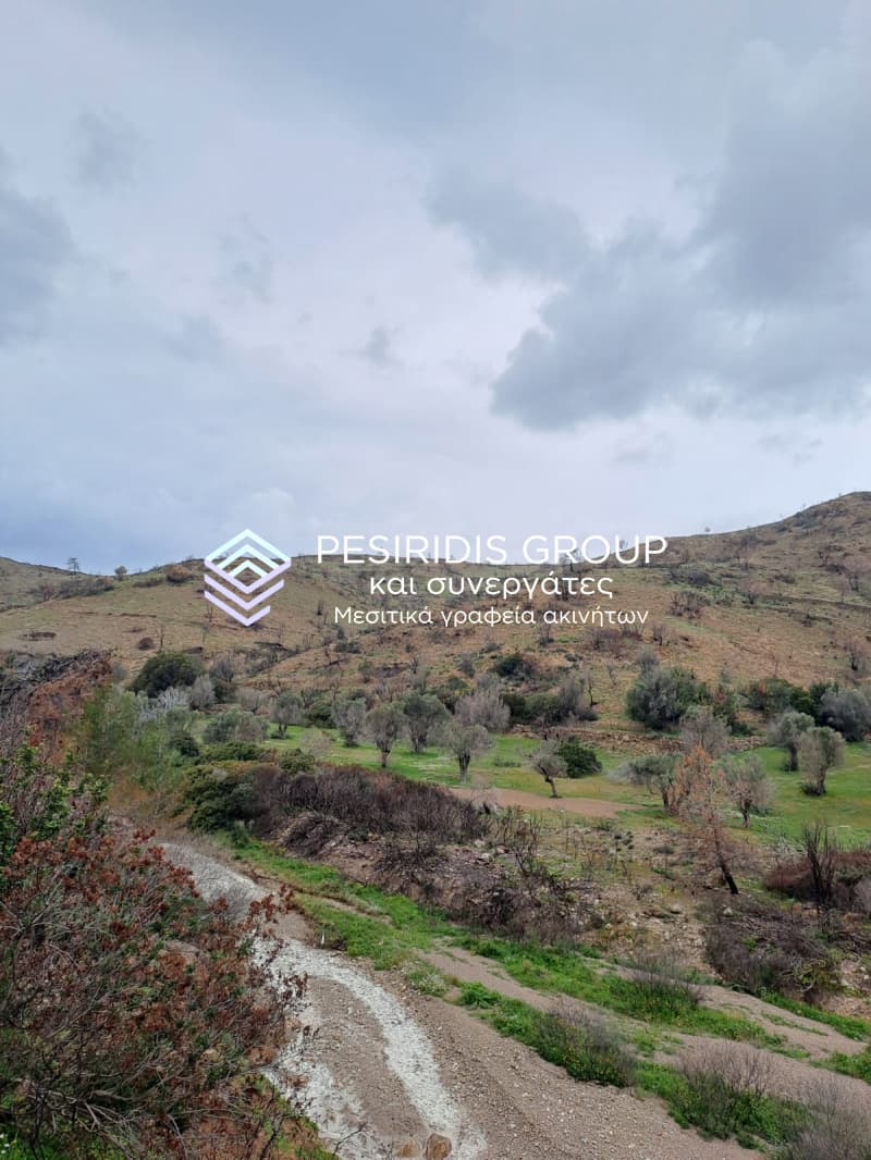 Αγροτεμάχιο στην Αμάνη, Χίος — Φωτογραφία 12 από 13