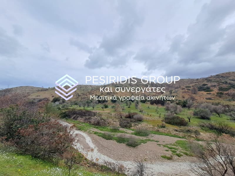 Αγροτεμάχιο στην Αμάνη, Χίος — Φωτογραφία 5 από 13