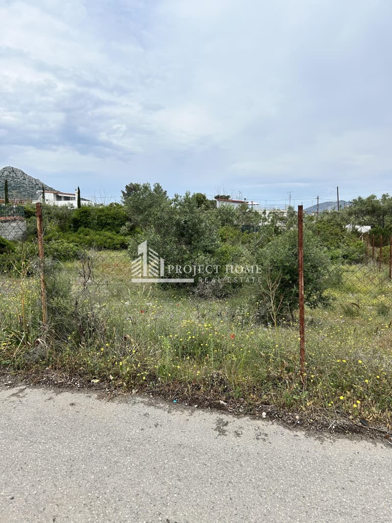 Οικόπεδο στην Μεγάλο Ντορότο, Σαλαμίνα — Φωτογραφία 2 από 2
