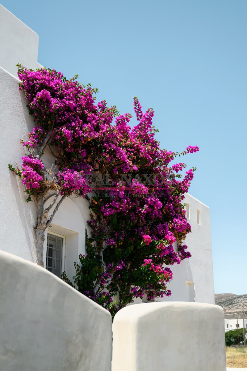 House in Kastraki, Naxos — Photo 29 of 30