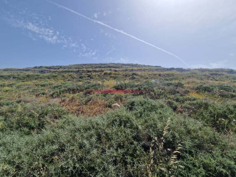 Αγροτεμάχιο στην Βίβλος, Νάξος — Φωτογραφία 16 από 21