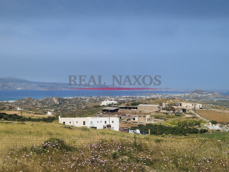 Αγροτεμάχιο στην Βίβλος, Νάξος — Φωτογραφία 12 από 21