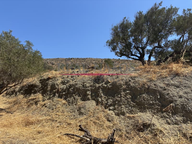 Αγροτεμάχιο στην Εγγαρές, Νάξος — Φωτογραφία 17 από 30